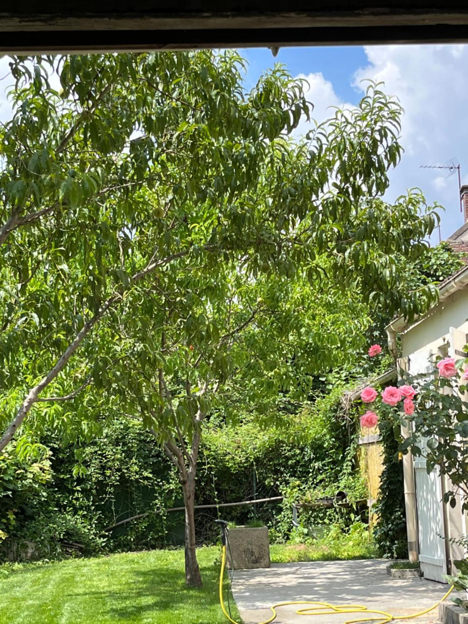 Endroit Charmant Coulommiers Bagian luar foto